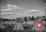 Image Ohio Agriculture et industrie Ohio United States USA, 1951, de la seconde 34 séquences d'archives historiques vidéo 65675030585