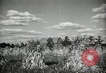 Image Ohio Agriculture et industrie Ohio United States USA, 1951, de la seconde 36 séquences d'archives historiques vidéo 65675030585
