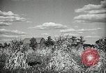 Image Ohio Agriculture et industrie Ohio United States USA, 1951, de la seconde 39 séquences d'archives historiques vidéo 65675030585