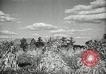 Image Ohio Agriculture et industrie Ohio United States USA, 1951, de la seconde 41 séquences d'archives historiques vidéo 65675030585