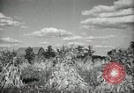 Image Ohio Agriculture et industrie Ohio United States USA, 1951, de la seconde 42 séquences d'archives historiques vidéo 65675030585
