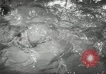 Standbild aquatic Dance Paris Frankreich, 1934, aus Sekunde 26 historischem Filmmaterial Videoclip 65675030590