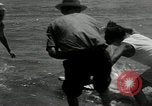 Standbild hammerhead Shark Veracruz Mexiko, 1934, aus Sekunde 11 historischem Filmmaterial Videoclip 65675030594
