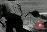 Standbild hammerhead Shark Veracruz Mexiko, 1934, aus Sekunde 12 historischem Filmmaterial Videoclip 65675030594
