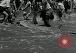Standbild hammerhead Shark Veracruz Mexiko, 1934, aus Sekunde 17 historischem Filmmaterial Videoclip 65675030594