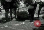 Standbild hammerhead Shark Veracruz Mexiko, 1934, aus Sekunde 25 historischem Filmmaterial Videoclip 65675030594
