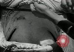 Standbild hammerhead Shark Veracruz Mexiko, 1934, aus Sekunde 28 historischem Filmmaterial Videoclip 65675030594