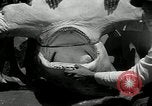 Standbild hammerhead Shark Veracruz Mexiko, 1934, aus Sekunde 32 historischem Filmmaterial Videoclip 65675030594