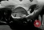 Standbild hammerhead Shark Veracruz Mexiko, 1934, aus Sekunde 35 historischem Filmmaterial Videoclip 65675030594