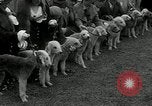 Image of Dog show Madison New Jersey USA, 1934, second 31 stock footage video 65675030596
