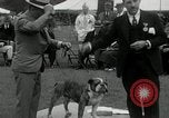 Image of Dog show Madison New Jersey USA, 1934, second 43 stock footage video 65675030596