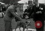 Image of Dog show Madison New Jersey USA, 1934, second 45 stock footage video 65675030596