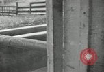 Standbild Milch Fässer Saint Clairsville Ohio USA, 1940, aus Sekunde 29 historischem Filmmaterial Videoclip 65675030600