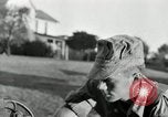 Standbild Milch Fässer Saint Clairsville Ohio USA, 1940, aus Sekunde 44 historischem Filmmaterial Videoclip 65675030600