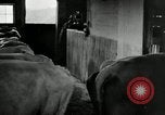 Standbild Milch Fässer Saint Clairsville Ohio USA, 1940, aus Sekunde 61 historischem Filmmaterial Videoclip 65675030600