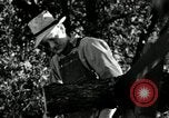 Image agriculteur farming Saint Clairsville Ohio USA, 1940, de la seconde 6 séquences d'archives historiques vidéo 65675030601