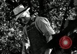 Image agriculteur farming Saint Clairsville Ohio USA, 1940, de la seconde 7 séquences d'archives historiques vidéo 65675030601