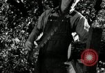 Image agriculteur farming Saint Clairsville Ohio USA, 1940, de la seconde 9 séquences d'archives historiques vidéo 65675030601