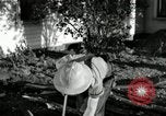 Image agriculteur farming Saint Clairsville Ohio USA, 1940, de la seconde 12 séquences d'archives historiques vidéo 65675030601