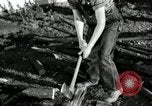 Image agriculteur farming Saint Clairsville Ohio USA, 1940, de la seconde 14 séquences d'archives historiques vidéo 65675030601