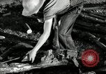 Image agriculteur farming Saint Clairsville Ohio USA, 1940, de la seconde 21 séquences d'archives historiques vidéo 65675030601