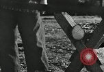 Image agriculteur farming Saint Clairsville Ohio USA, 1940, de la seconde 29 séquences d'archives historiques vidéo 65675030601