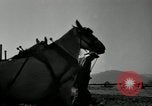 Image agriculteur farming Saint Clairsville Ohio USA, 1940, de la seconde 48 séquences d'archives historiques vidéo 65675030601