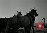 Image agriculteur farming Saint Clairsville Ohio USA, 1940, de la seconde 49 séquences d'archives historiques vidéo 65675030601