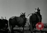Image agriculteur farming Saint Clairsville Ohio USA, 1940, de la seconde 50 séquences d'archives historiques vidéo 65675030601