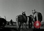 Image agriculteur farming Saint Clairsville Ohio USA, 1940, de la seconde 51 séquences d'archives historiques vidéo 65675030601