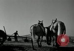 Image agriculteur farming Saint Clairsville Ohio USA, 1940, de la seconde 52 séquences d'archives historiques vidéo 65675030601
