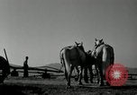 Image agriculteur farming Saint Clairsville Ohio USA, 1940, de la seconde 53 séquences d'archives historiques vidéo 65675030601