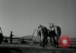 Image agriculteur farming Saint Clairsville Ohio USA, 1940, de la seconde 54 séquences d'archives historiques vidéo 65675030601