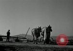 Image agriculteur farming Saint Clairsville Ohio USA, 1940, de la seconde 56 séquences d'archives historiques vidéo 65675030601