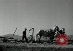 Image agriculteur farming Saint Clairsville Ohio USA, 1940, de la seconde 61 séquences d'archives historiques vidéo 65675030601