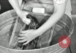 Standbild der HaUSArbeit ohne Strom Saint Clairsville Ohio USA, 1940, aus Sekunde 47 historischem Filmmaterial Videoclip 65675030602
