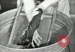 Standbild der HaUSArbeit ohne Strom Saint Clairsville Ohio USA, 1940, aus Sekunde 50 historischem Filmmaterial Videoclip 65675030602