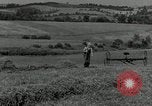 Standbild Landwirt schneiden alte Maisstängel Saint Clairsville Ohio USA, 1940, aus Sekunde 3 historischem Filmmaterial Videoclip 65675030603