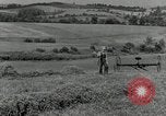 Standbild Landwirt schneiden alte Maisstängel Saint Clairsville Ohio USA, 1940, aus Sekunde 4 historischem Filmmaterial Videoclip 65675030603