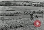 Standbild Landwirt schneiden alte Maisstängel Saint Clairsville Ohio USA, 1940, aus Sekunde 7 historischem Filmmaterial Videoclip 65675030603