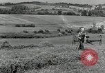 Standbild Landwirt schneiden alte Maisstängel Saint Clairsville Ohio USA, 1940, aus Sekunde 8 historischem Filmmaterial Videoclip 65675030603