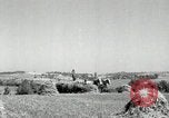 Standbild Landwirt schneiden alte Maisstängel Saint Clairsville Ohio USA, 1940, aus Sekunde 11 historischem Filmmaterial Videoclip 65675030603
