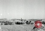 Standbild Landwirt schneiden alte Maisstängel Saint Clairsville Ohio USA, 1940, aus Sekunde 12 historischem Filmmaterial Videoclip 65675030603