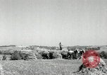 Standbild Landwirt schneiden alte Maisstängel Saint Clairsville Ohio USA, 1940, aus Sekunde 14 historischem Filmmaterial Videoclip 65675030603