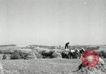 Standbild Landwirt schneiden alte Maisstängel Saint Clairsville Ohio USA, 1940, aus Sekunde 16 historischem Filmmaterial Videoclip 65675030603
