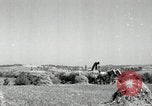 Standbild Landwirt schneiden alte Maisstängel Saint Clairsville Ohio USA, 1940, aus Sekunde 18 historischem Filmmaterial Videoclip 65675030603