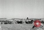 Standbild Landwirt schneiden alte Maisstängel Saint Clairsville Ohio USA, 1940, aus Sekunde 20 historischem Filmmaterial Videoclip 65675030603