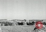 Standbild Landwirt schneiden alte Maisstängel Saint Clairsville Ohio USA, 1940, aus Sekunde 22 historischem Filmmaterial Videoclip 65675030603