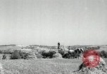 Standbild Landwirt schneiden alte Maisstängel Saint Clairsville Ohio USA, 1940, aus Sekunde 23 historischem Filmmaterial Videoclip 65675030603