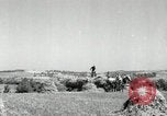 Standbild Landwirt schneiden alte Maisstängel Saint Clairsville Ohio USA, 1940, aus Sekunde 24 historischem Filmmaterial Videoclip 65675030603